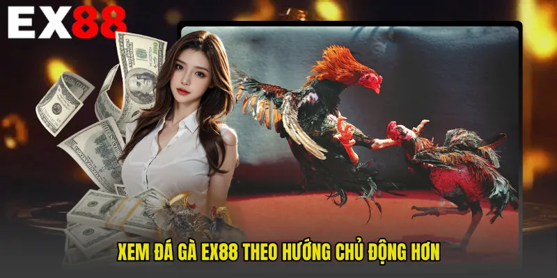Xem Đá gà EX88 theo hướng chủ động hơn